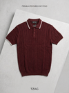 Knitted polo Tshirt for men Marron