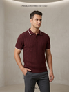 Knitted polo Tshirt for men Marron